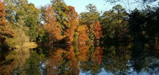 Johns-lake-different-size-721x430