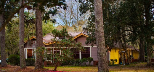 Thursdayproductionhouse