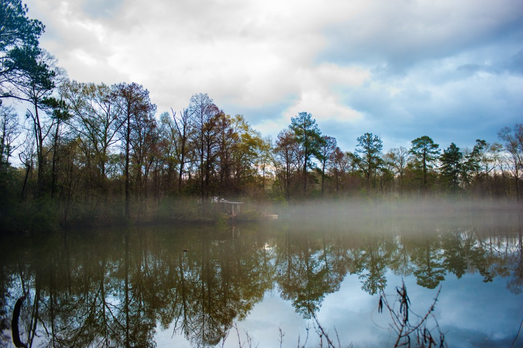 thefoggylake