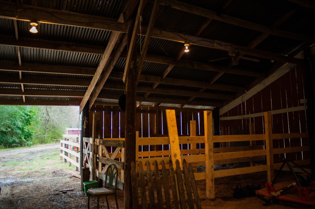 thehorsestall